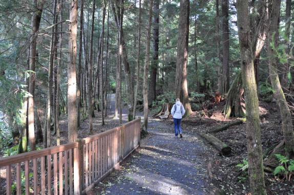 caminhando em bosque em Ketchikan, no sudeste do Alaska